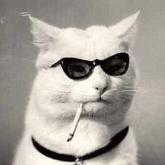 Music Cat