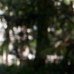 gdk's little brother