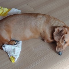 소담맘