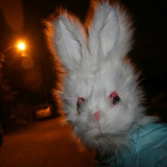 Tweetmeurtunes🐰