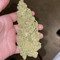 DaFlawdaJit🥶