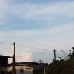 Prk