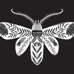 HALLOWEEN 2025 BASS TEASER