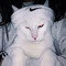 Skozyr_M5TRS