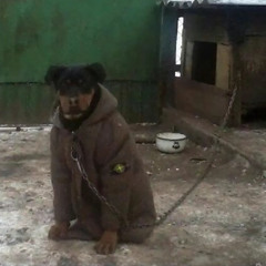 Arturrrrraaaaa