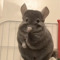 みん