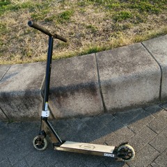 うり坊