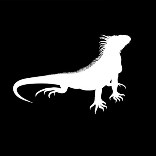 Reptilia Records — artist photo