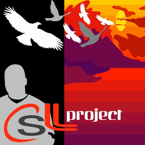 CSL Project’s avatar