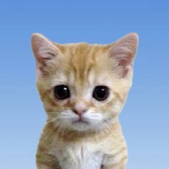 lil yung童夢