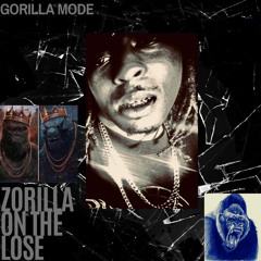 DTE ZORILLA