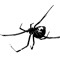 Faceharvester