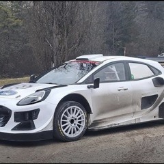 Rally