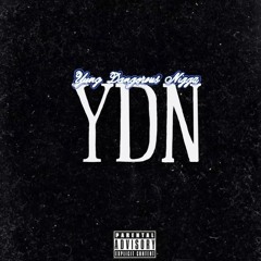 YDN ZAY