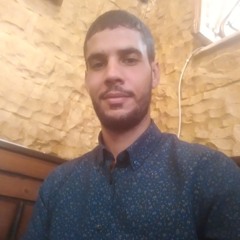 mohamed Boulbeba