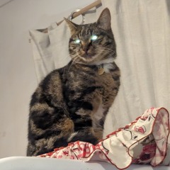 Knii