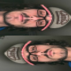 roms