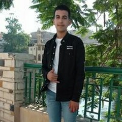 المحمدى عبدالله الطنطاوى