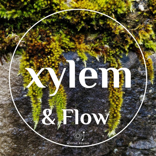 Xylem’s avatar