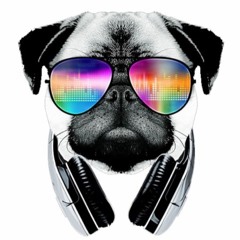 PUG 81 DnB