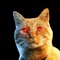 HARDCORE CAT