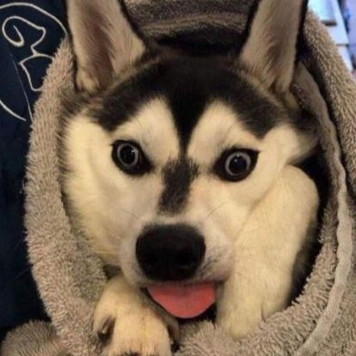 The beat that plays when the villain is telling you his entire plan