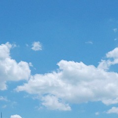 おもちそば