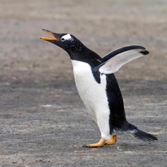 Samu