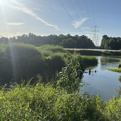 afraidbythewater