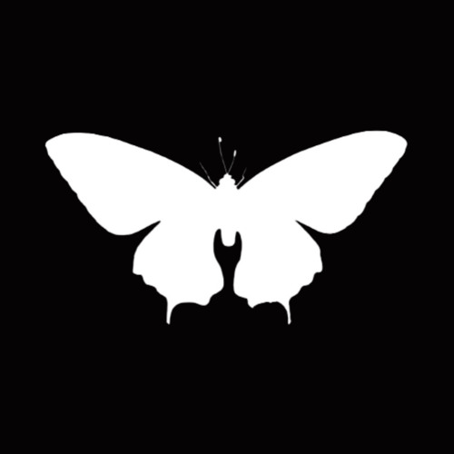 kid butterfly’s avatar