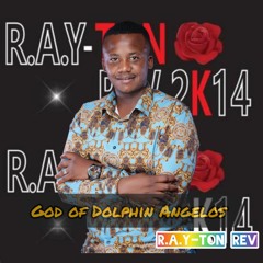 R.A.Y-TON REV
