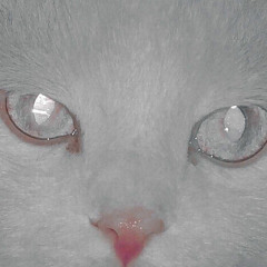 xxrxn?
