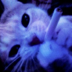 xknsx