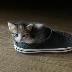 олух