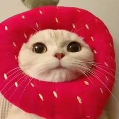 xXMilkshakeBoyXx (ジェイソン・ブルックス)