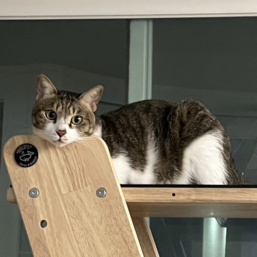 nothing (short cover)