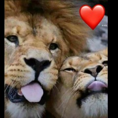 𝕵𝖆𝖎𝖉𝖊𝖗 𝕳𝖎𝖓𝖈𝖆𝖕𝖎𝖊