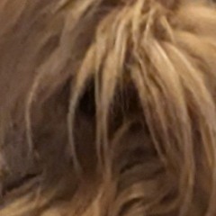 NEUBRAIN
