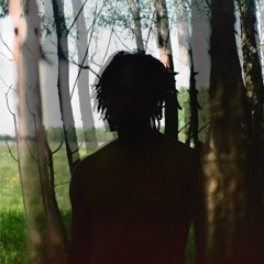 Lumi