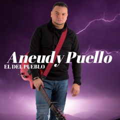 ANEUDY PUELLO
