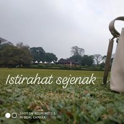 Cover - Mama Papa Larang