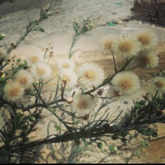 May