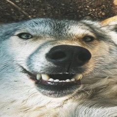 SADBOYSMP3