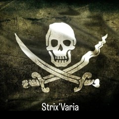 Strix’Varia™🏴‍☠️