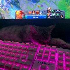 zxs_dolbaeb