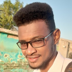 عبدالله بشير ودالشائب