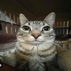 EmilPimp420
