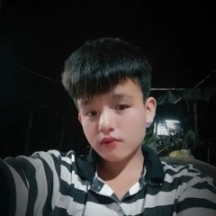 Đỗ hữu Lợi