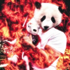 ✮ hairy sphinx recordz✮