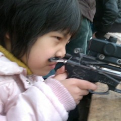 17 moths in my ceiling light